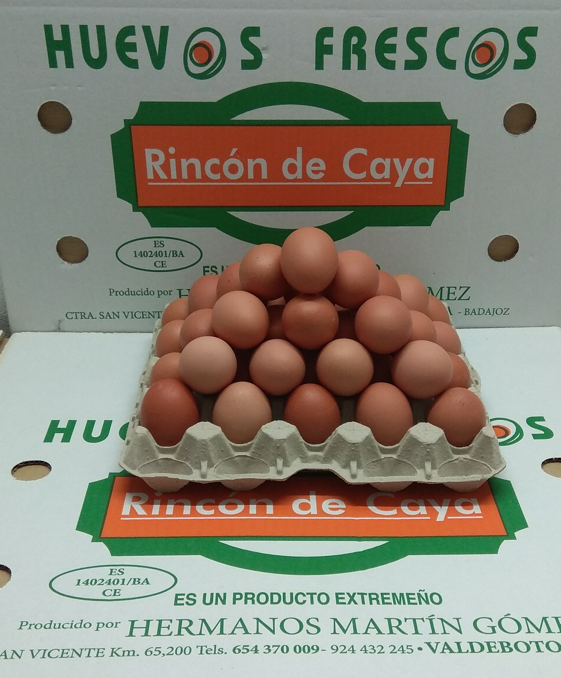 Huevo fresco L – Grandes de 63g a 73g – Blanco – Estuchado Cartón